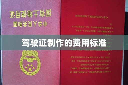 沙湾驾驶证制作的费用标准